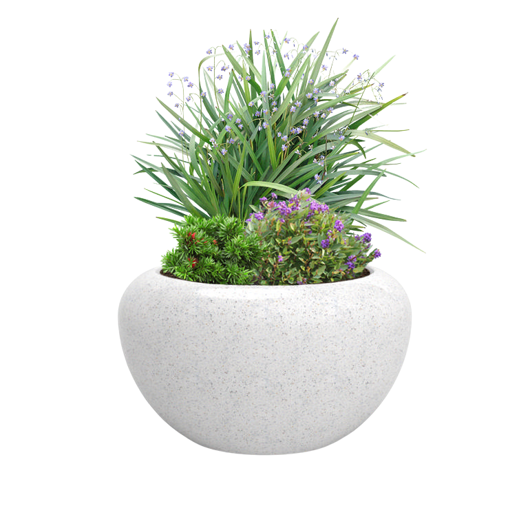 Venere Planter | Spruce & Gander